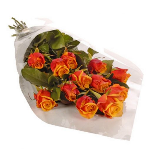 12 Τριαντάφυλλα - Πορτοκαλί 001106