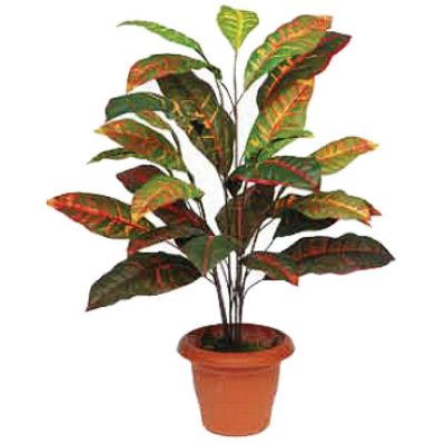 Artificial plant - Croton 310735