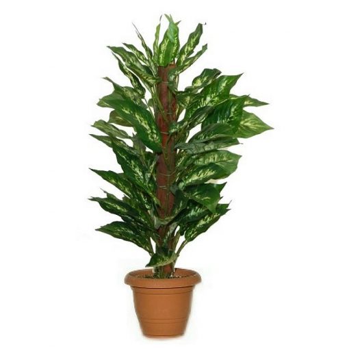 Artificial plant - Dieffenbachia with stick 310750
