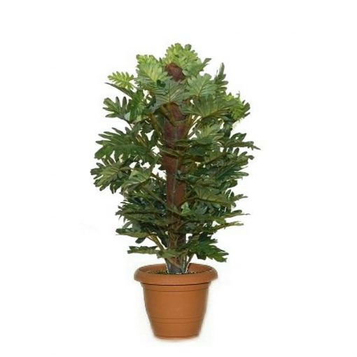 Artificial plant - Selum with stick 310750