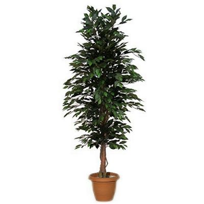 Τεχνητό φυτό – Μπέντζαμιν με ξύλινο κορμό πράσινο 313200