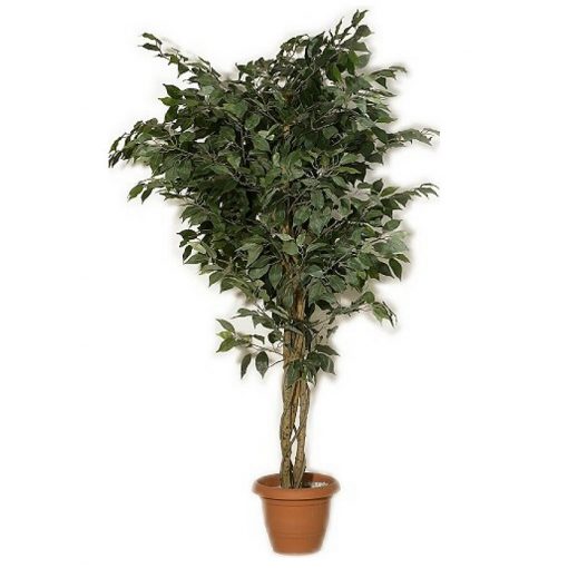 Τεχνητό φυτό – Μπέντζαμιν με ξύλινο κορμό πράσινο 312700
