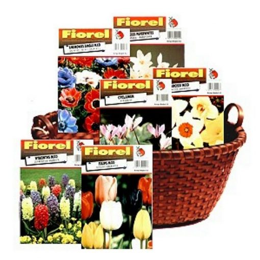 Bulbs in basket (fall planting)
