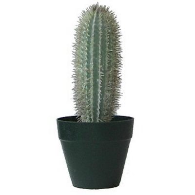 Artificial plant - Cactus Y0670