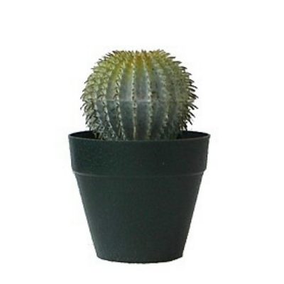 Artificial plant - Cactus Y0570