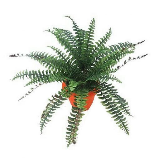 Τεχνητό φυτό – Φτέρη x 30 φύλλα 310600