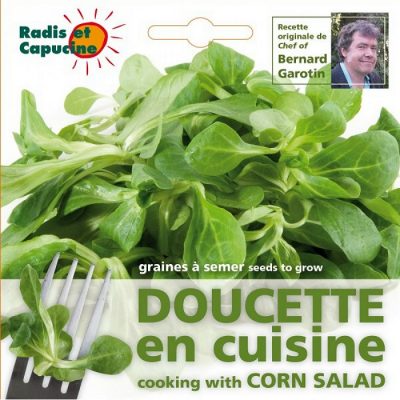 Edible Flowers Seeds - 026983 Corn Salad
