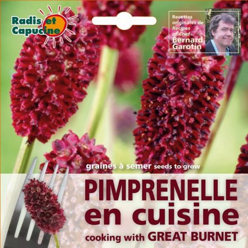 Edible Flowers Seeds - 026982 Great Burnet