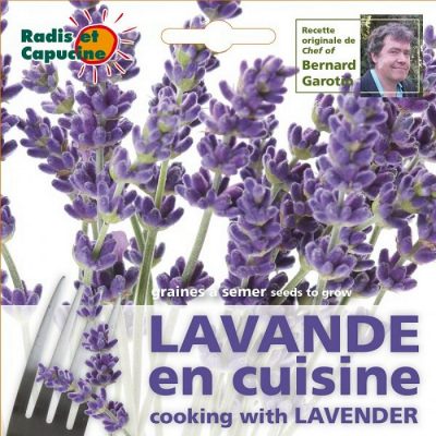 Edible Flowers Seeds - 026985 Lavender