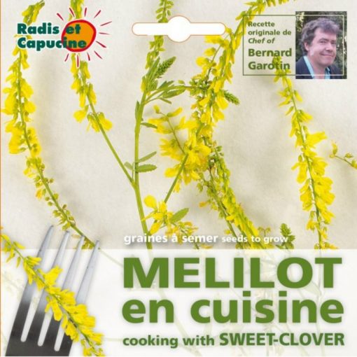 Edible Flowers Seeds - 026979 Yellow Melilot - Sweet Clover