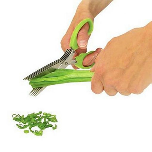 Stainless Steel Herb Scissors with chive seeds