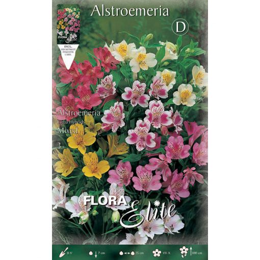 803321 Alstroemeria - Αλστρομέρια Mixed