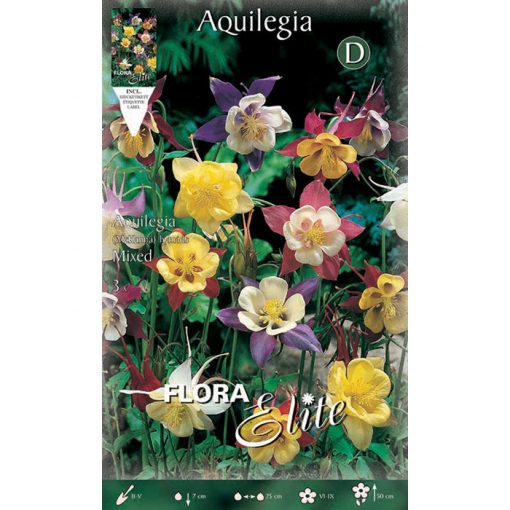 806407 Aquilegia - Ακουϊλέγκια Mixed