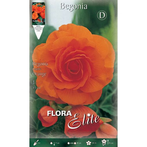 807879 Begonia - Μπιγκόνια Double Orange