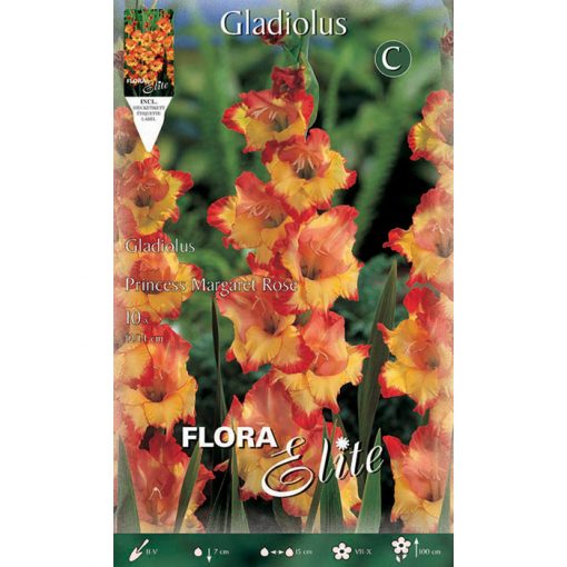 740466 Gladiolus - Γλαδιόλα Princess Margaret Rose