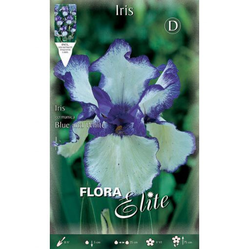 828881 Iris Blue-White