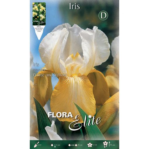 830624 Iris - Ίρις White-Yellow