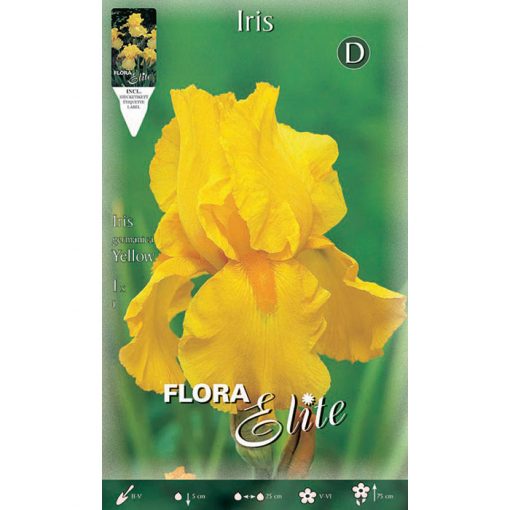 829925 Iris Yellow