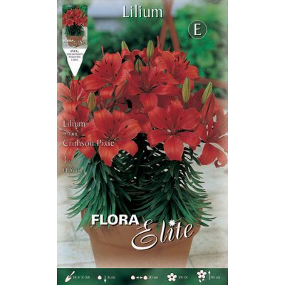 517440 Lilium - Λίλιουμ Crimson Pixie