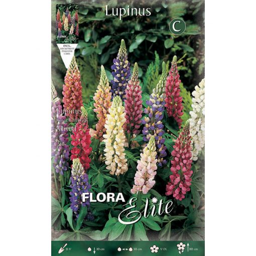 842177 Lupinus Russel Mixed