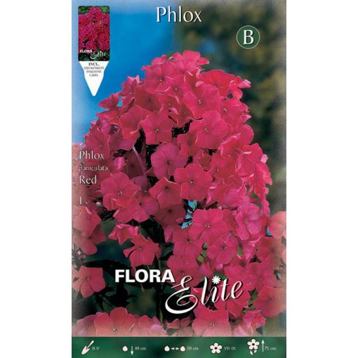 844621 Phlox Paniculata Red