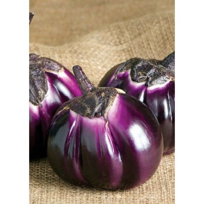13804 Barbarella Μελιτζάνα - Solanum melongena
