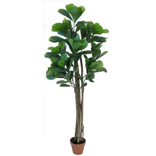 Τεχνητό φυτό – Φίκος Λυράτα με ξύλινο κορμό 311900