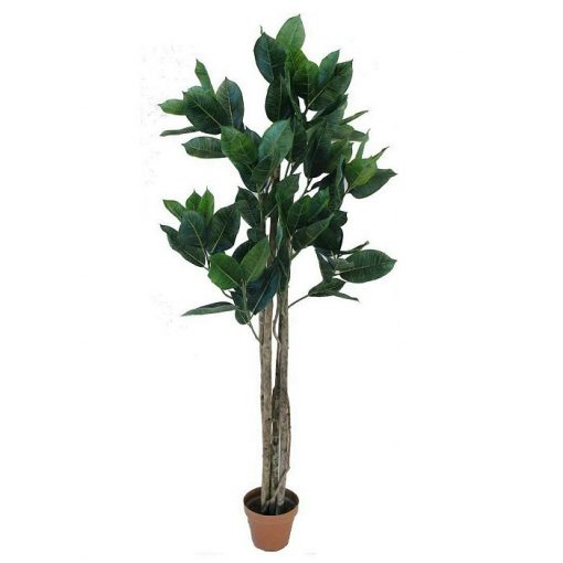 Τεχνητό φυτό – Φίκος Ρομπούστα με ξύλινο κορμό 311900