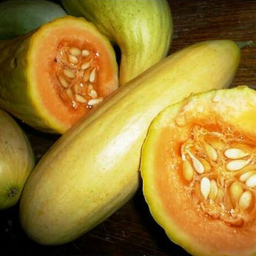 DF 6025 Banana Melon – Πεπόνι (Cucumis melo)