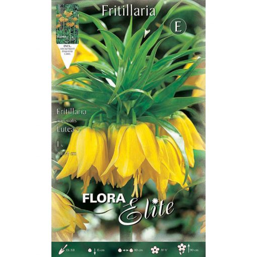 457807 Fritillaria Imperialis Lutea