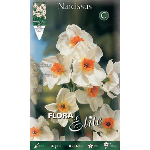 331800 Narcissus - Νάρκισσος Geranium