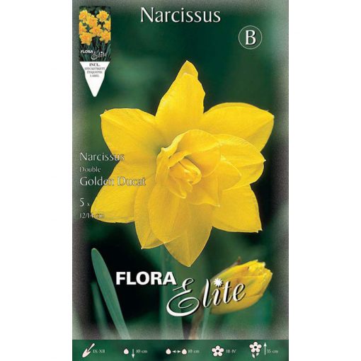 314308 Narcissus - Νάρκισσος Golden Ducat