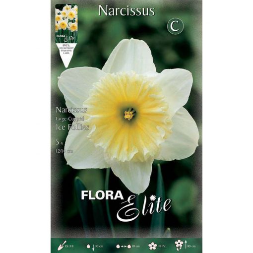 342301 Narcissus - Νάρκισσος Ice Follies
