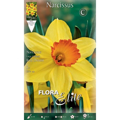 785900 Narcissus Red Devon