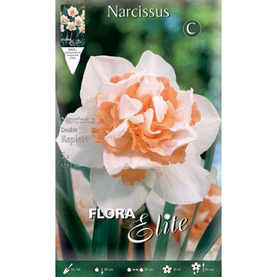 518362 Narcissus - Νάρκισσος Replete