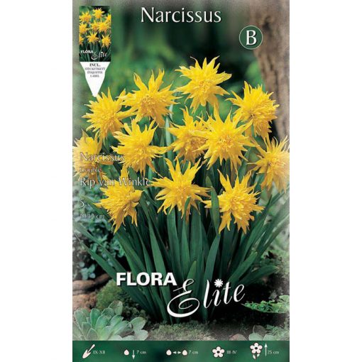 353154 Narcissus - Νάρκισσος Rip van Winkle