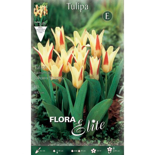 228209 Tulipa – Τουλίπα Johan Straus