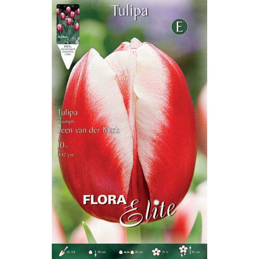 785764 Tulipa - Τουλίπα Leen van der Mark