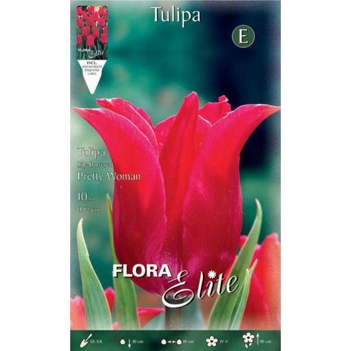 785788 Tulipa – Τουλίπα Pretty Woman