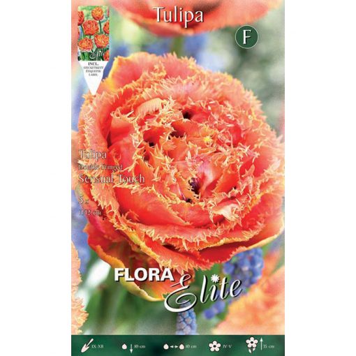 517525 Tulipa – Τουλίπα Sensual Touch