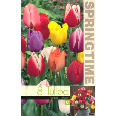 9108 Tulipa – Τουλίπα Triumph Mixed