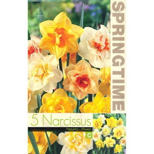 9143 Narcissus Double Mixed