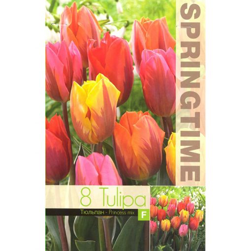 9445 Tulipa Princess Mixed