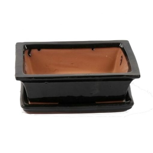 A3200004 Bonsai ceramic set (pot – plate) Choukaku (Ractangle)