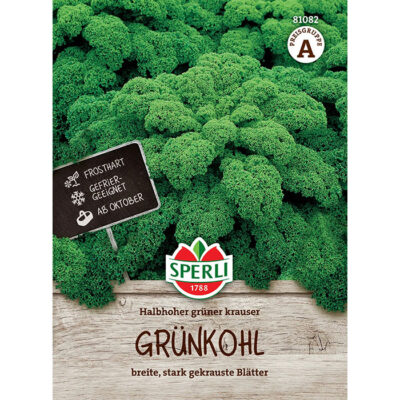81082 - Λάχανο κατσαρο Κέιλ πράσινο πλατύφυλλο - Brassica oleracea var. sabellica "Kale"