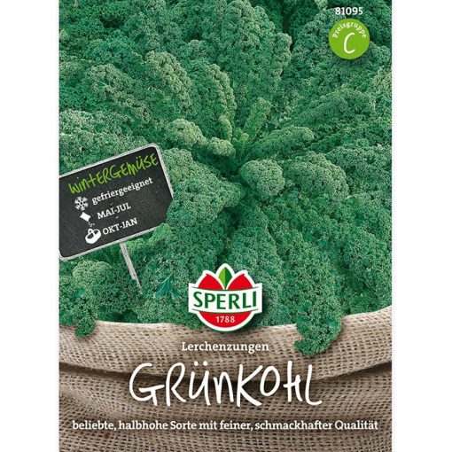 81095 - Λάχανο κατσαρο Κέιλ - Brassica oleracea var. sabellica "Kale"