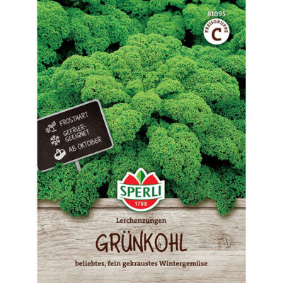 81095 - Brassica oleracea var. sabellica "Kale"