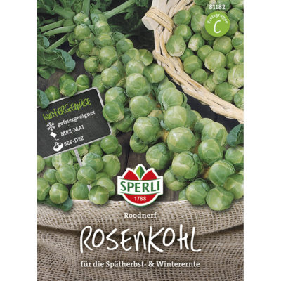 81182 - Λαχανάκι Βρυξελών - Brassica oleracea