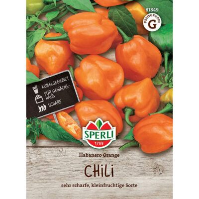 81849 - Capsicum chinense "Habanero Orange"