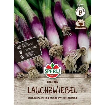 83657 - Allium fistulosum ""Red Toga"